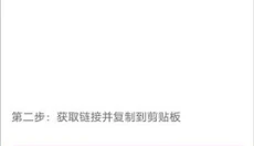 yuanshenlink抽卡分析 截图