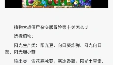 PVZBT 截图