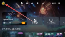 盖世游戏模拟器 截图