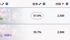 HSReplay 截图