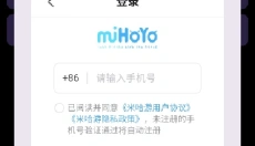 HoYoGet最新版 截图
