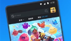 steam中文版 截图