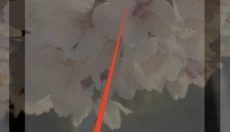 AI游戏伙伴 截图