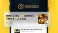 飞鸟租号手机版 截图