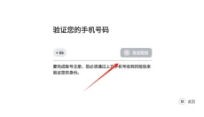 盖世游戏正版 截图