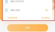 星河代售 截图