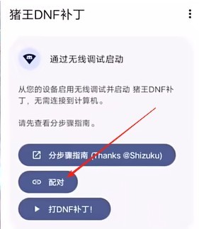 猪王dnf补丁大全
