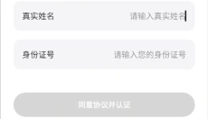 求带陪玩 截图