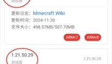 MC版本库 截图
