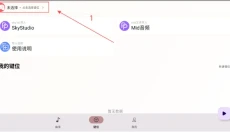 二哈自动弹琴 截图