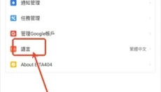 AMYVIRTUAL 截图