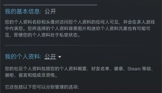 c5game 截图