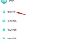 TabTab 截图