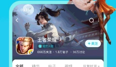 solo 截图