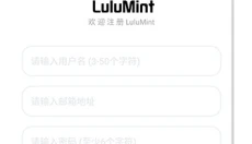 LuluMint 截图