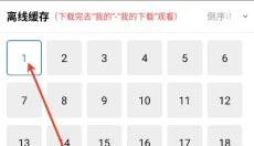 地瓜视频2025 截图