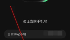 瓜子影视安卓版 截图