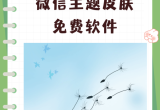 主题美化