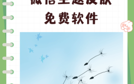 主题美化