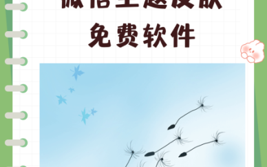 主题美化