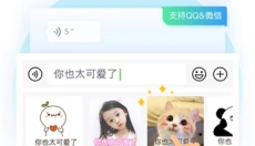 QQ输入法手机版 截图