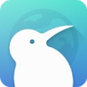 Kiwi Browser浏览器最新版本