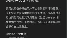 谷歌chrome 截图