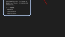 谷歌chrome 截图