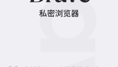 Brave浏览器手机版 截图