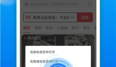 黑鲨浏览器最新版 截图