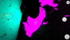 后室level0手游 截图