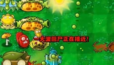 植物大战僵尸杂交版正版 截图