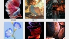芊芊影视 截图