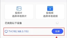 Potplayer电视版 截图