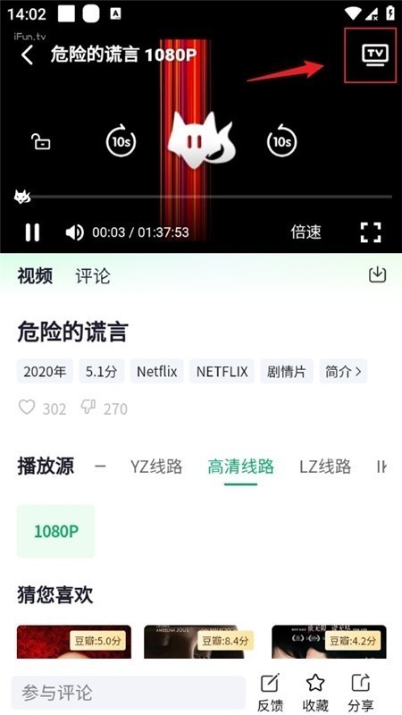 茶杯狐绿色版