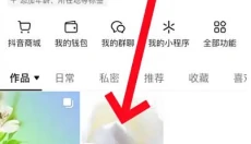 抖音国际版app 截图