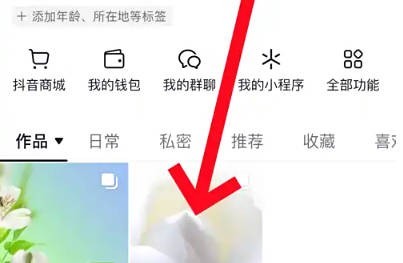 抖音国际版app