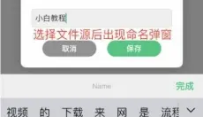 vidhub 截图