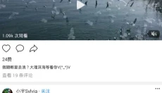蘑菇短视频旧版 截图