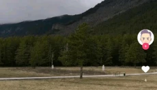 蘑菇短视频旧版 截图