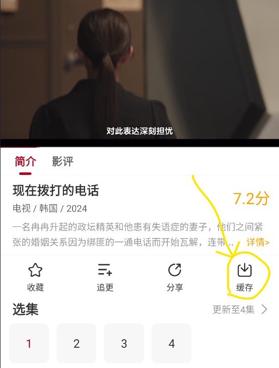 红叶影评