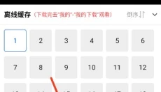 天鹅视频免广告版 截图