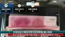龙龙直播 截图