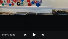 西瓜视频app 截图
