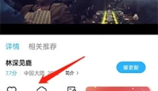 河马视频旧版本 截图