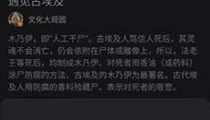 凤凰视频极速版 截图