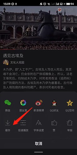 凤凰视频极速版