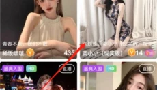 魅影直播 截图
