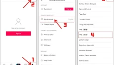TikTok免费 截图