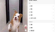 TikTok免费 截图